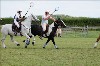 UKPA  NC Sat_1316
